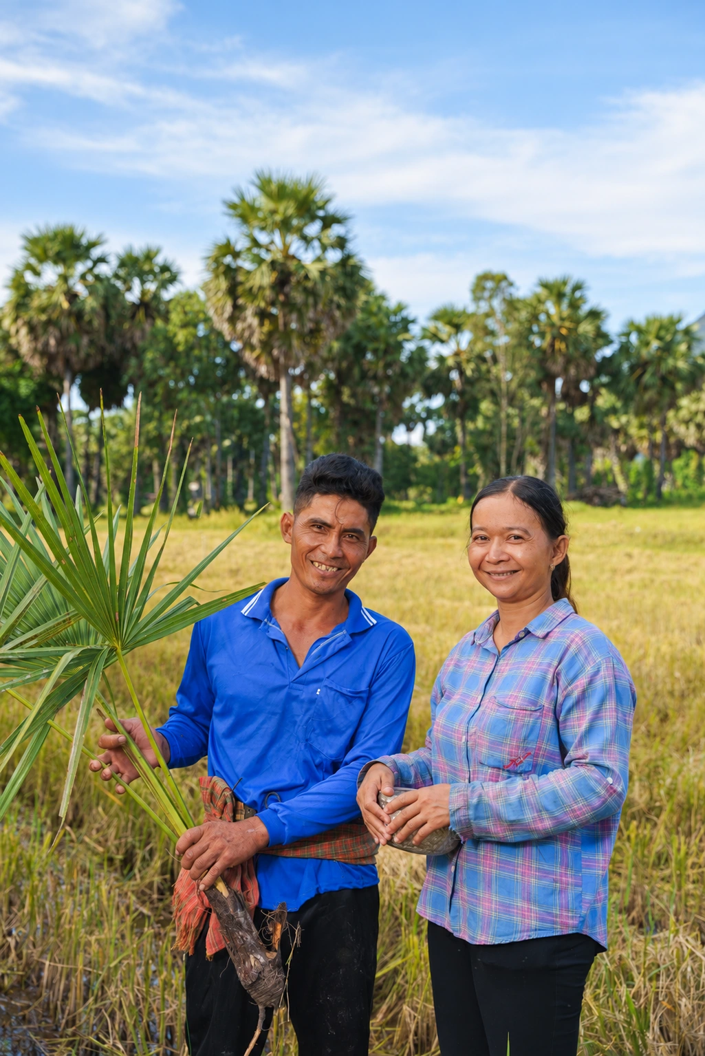 Palmyra farmers among wild palmyra trees in Bay Nui